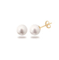 Puces simply pearly perles blanches 7 mm